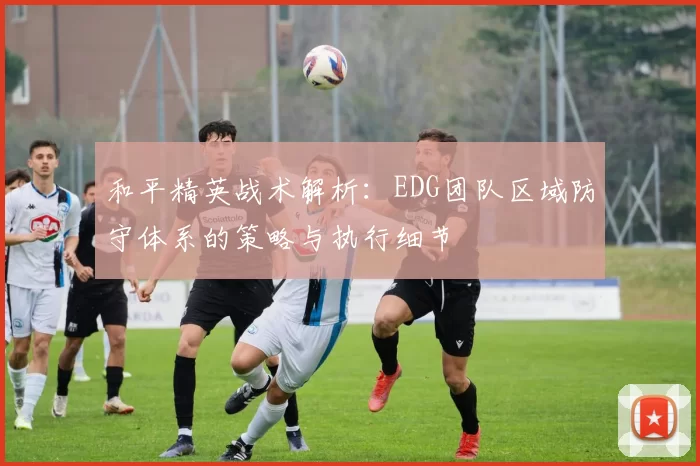 和平精英战术解析:EDG团队区域防守体系的策略与执行细节