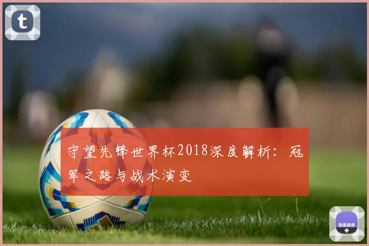 守望先锋世界杯2018深度解析:冠军之路与战术演变