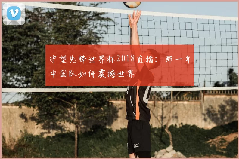 守望先锋世界杯2018直播：那一年中国队如何震撼世界