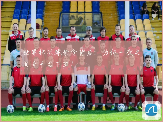 世界杯买球禁令背后:为何一夜之间全平台下架?