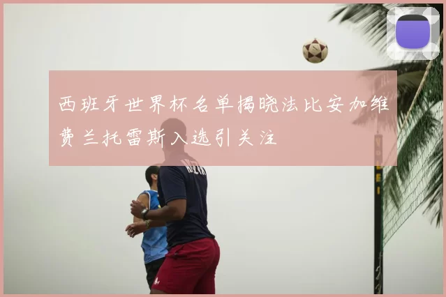 西班牙世界杯名单揭晓法比安加维费兰托雷斯入选引关注