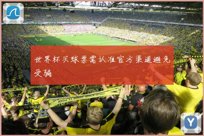世界杯买球票需认准官方渠道避免受骗