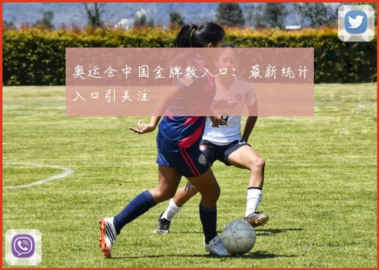 奥运会中国金牌数入口：最新统计入口引关注