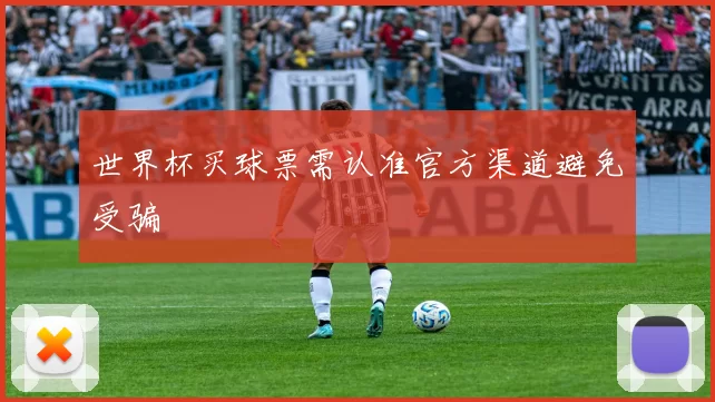 世界杯买球票需认准官方渠道避免受骗