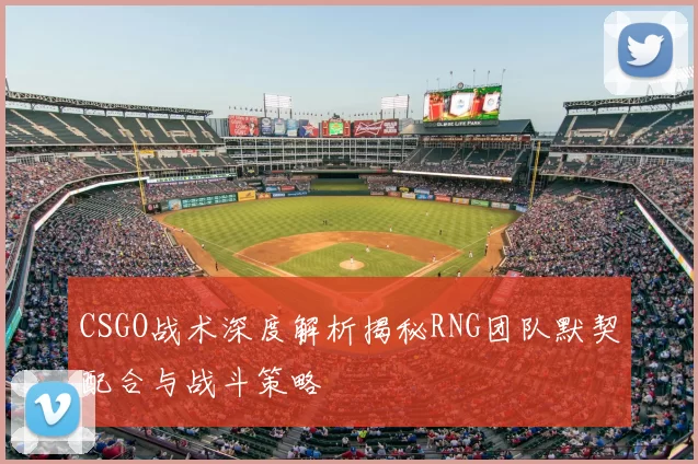CSGO战术深度解析揭秘RNG团队默契配合与战斗策略
