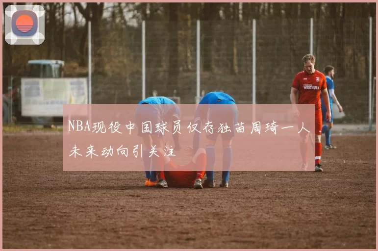 NBA现役中国球员仅存独苗周琦一人未来动向引关注