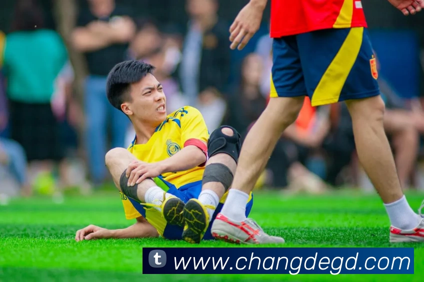 App Interface Preview